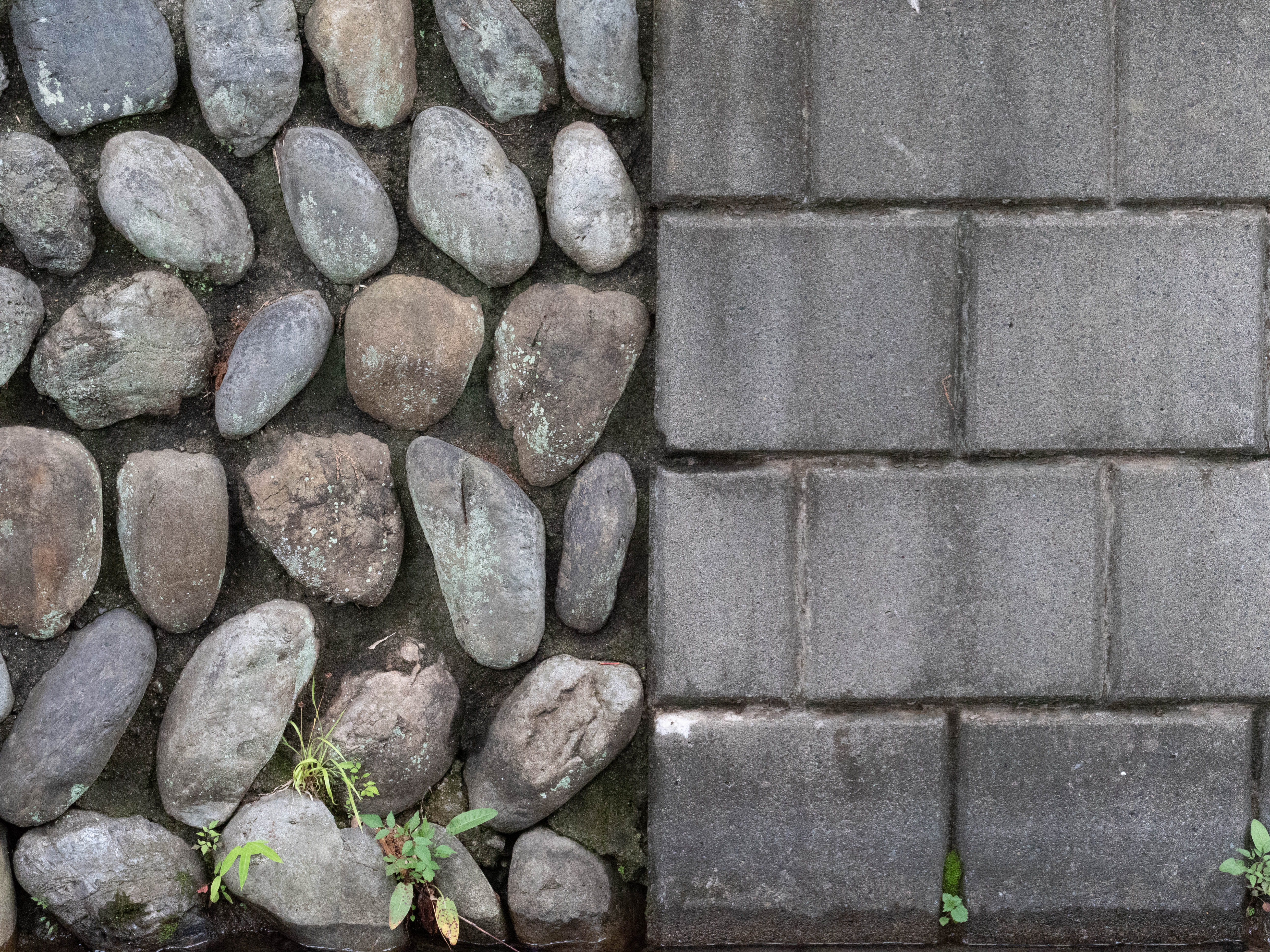 新旧なの？気が変わったの？